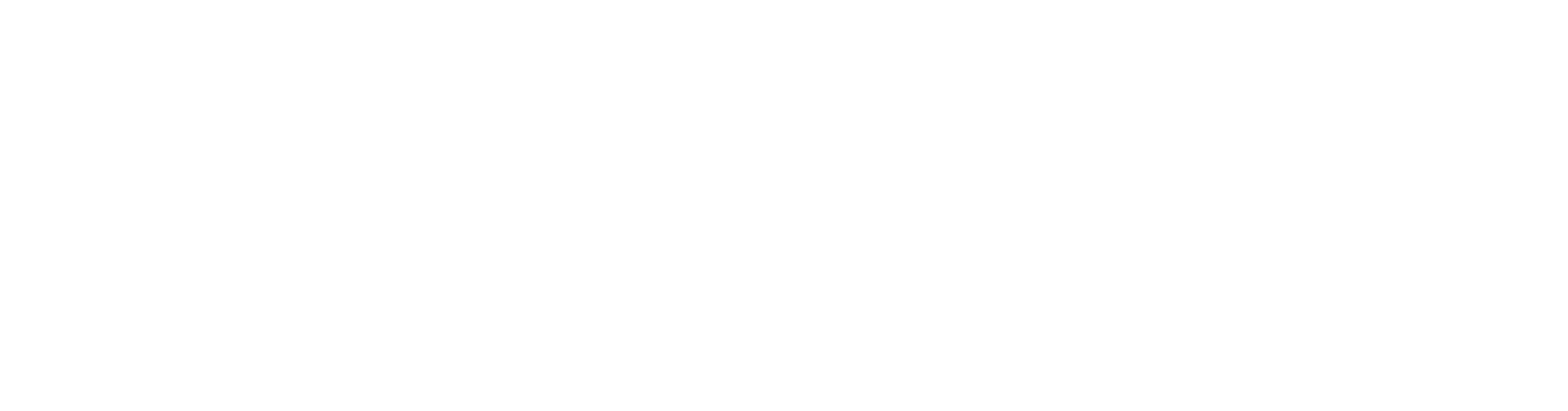 Logo Black Stage Kerstin Scherer